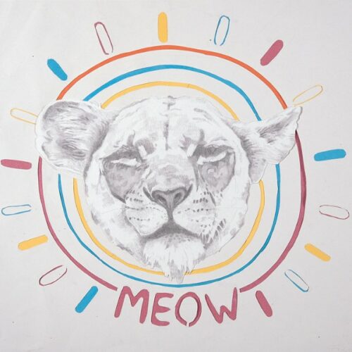 A thumbnail preview of Meow, an example of Visual Art work from the A Feeling We All Share exhibition.