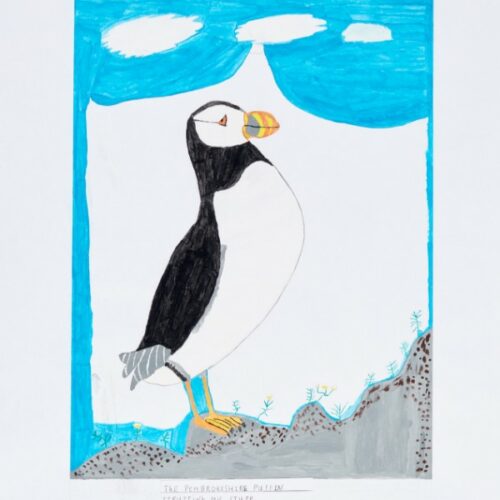 A thumbnail preview of The Pembrokeshire Puffin, an example of Visual Art work from the Another Me exhibition.