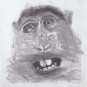 A thumbnail preview of Monkey, an example of Visual Art work from the A Feeling We All Share exhibition.