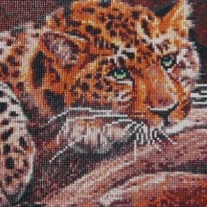 A thumbnail preview of Cheetah, an example of Visual Art work from the My Path exhibition.