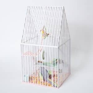 A thumbnail preview of Bird Cage – Imprisoned!, an example of Visual Art work from the Craft and Design exhibition.