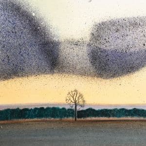 A thumbnail preview of Murmuration, an example of Visual Art work from the My Path exhibition.