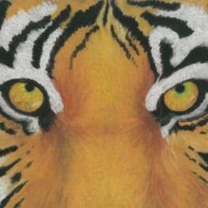 A thumbnail preview of Tiger, an example of Visual Art work from the My Path exhibition.