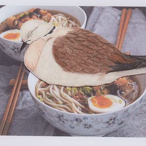 A thumbnail preview of Bird Nest Soup, an example of Visual Art work from the On My Plate exhibition.
