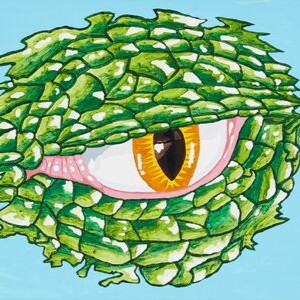A thumbnail preview of A Saur Eye, an example of Visual Art work from the Another Me exhibition.