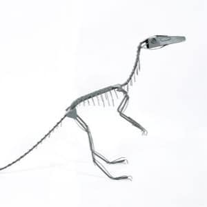 A thumbnail preview of Dinosaur Skeleton, an example of Visual Art work from the Another Me exhibition.