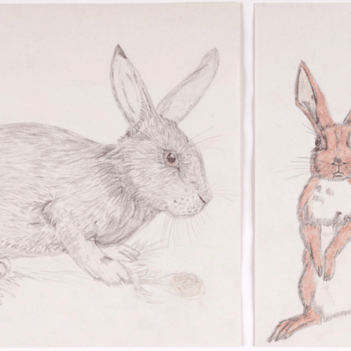 A thumbnail preview of Wild Rabbits, an example of Visual Art work from the 100 Years On: An Art Trail by Women in Prison exhibition.