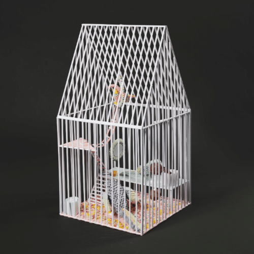 A thumbnail preview of Bird Cage – Imprisoned!, an example of Visual Art work from the No Lockdown in the Imagination exhibition.