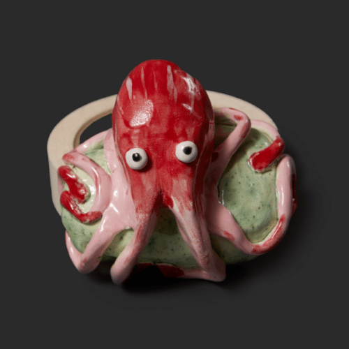A thumbnail preview of Octopus Paperweight, an example of Visual Art work from the No Lockdown in the Imagination exhibition.