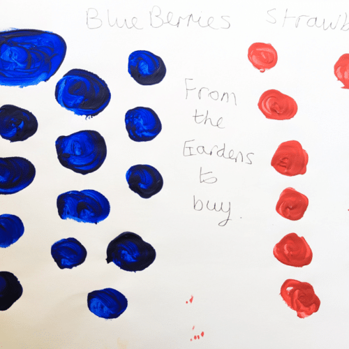 A thumbnail preview of Blueberries and Strawberries, an example of Visual Art work from the On My Plate exhibition.