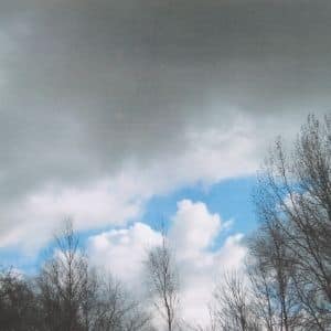 A thumbnail preview of Sky’s Windows to Earth I, an example of Visual Art work from the Forest exhibition.