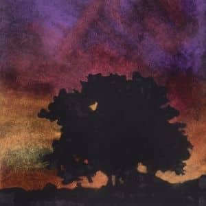 A thumbnail preview of Tree at Sunset, an example of Visual Art work from the Forest exhibition.