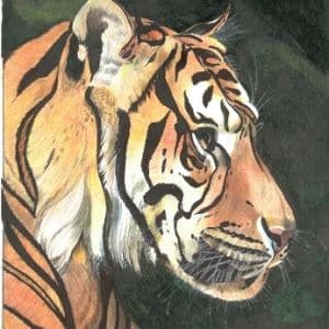 A thumbnail preview of Whiskers, an example of Visual Art work from the Animals exhibition.