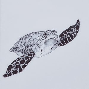 A thumbnail preview of Sea Tortoise Card, an example of Visual Art work from the Craft and Design exhibition.