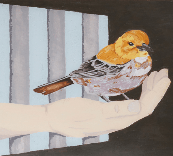 A painting of a hand reaching out of a window with bars on it to hold a yellow and grey bird.